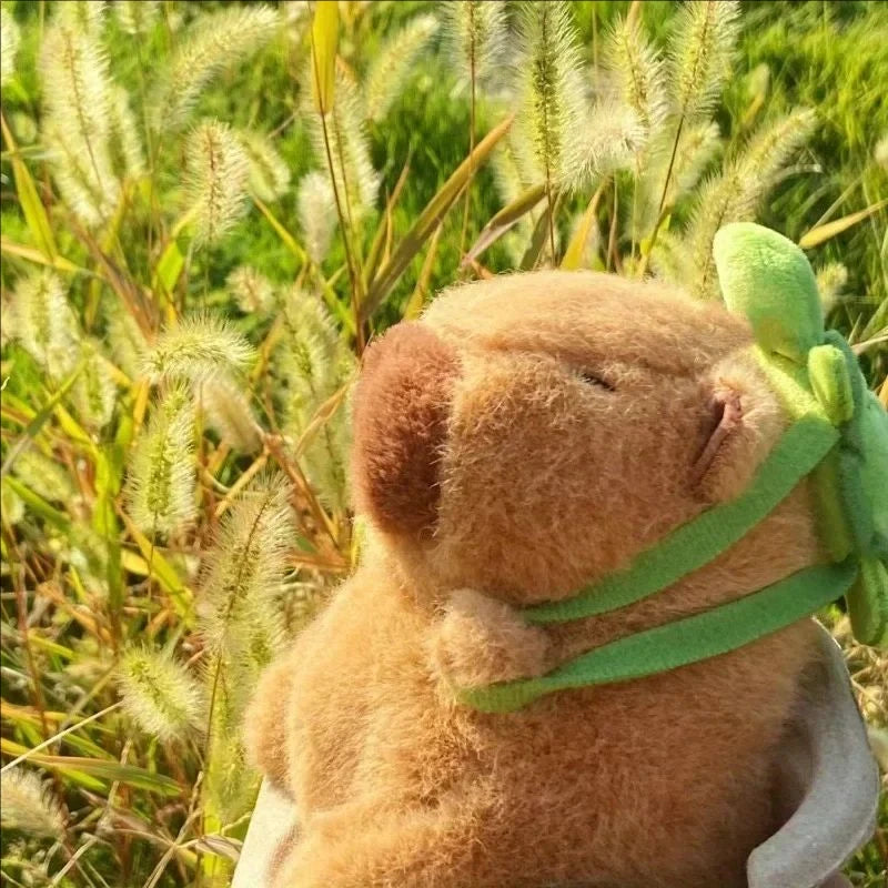 CAPYBARA PLUSH