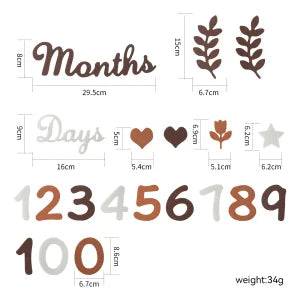 MONTHLY MILESTONE CARDS