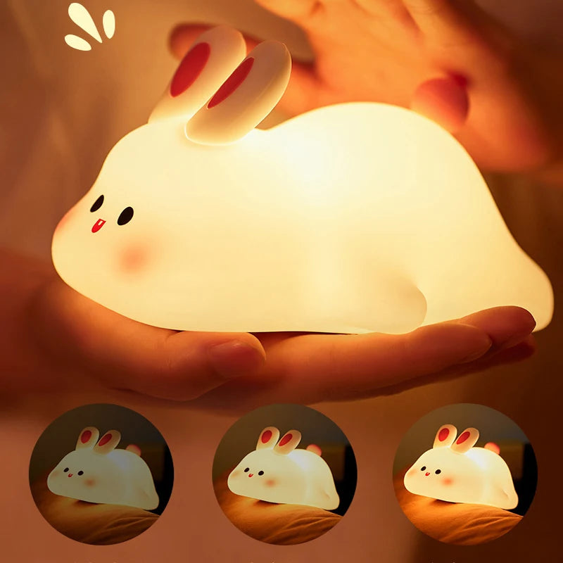 ENCHANTED LAMP✨